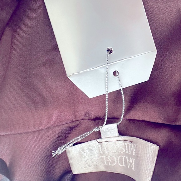 NWT Full length Badgley Mischka jeweled collar evening gown size 4 retail$995 - Picture 5 of 6